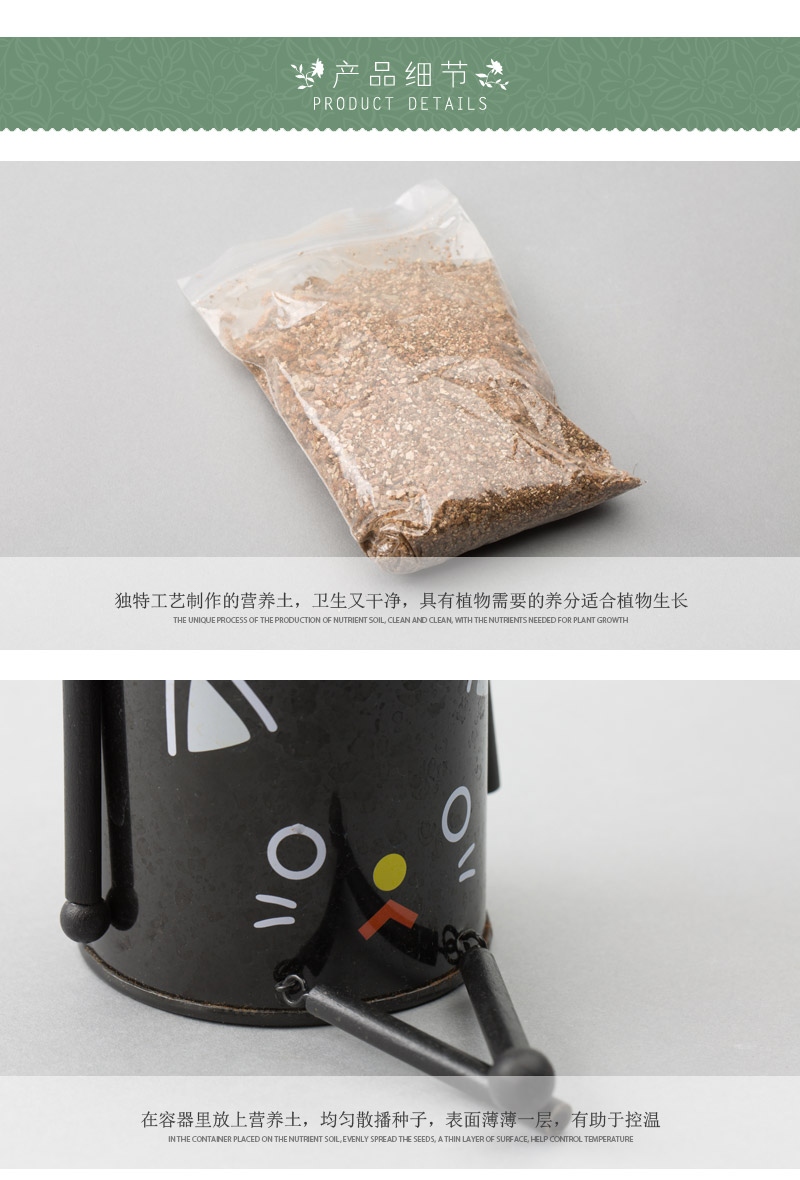 创意迷你铁甲盆栽 办公室桌面绿色小植物 TJPZ4