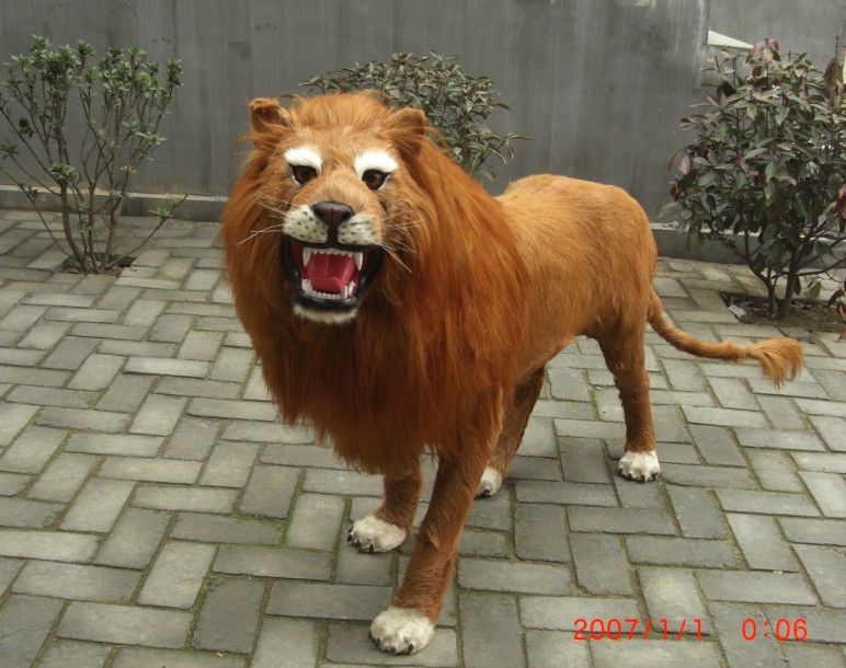 仿真狮子simulation lion H100*L133cm