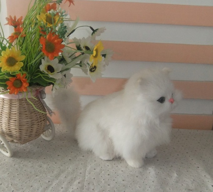 仿真白色小猫 white simulation cat , high is 16cm