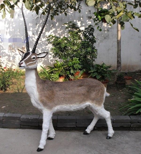 仿真野生动物仿真羚羊 simulation animal antelope