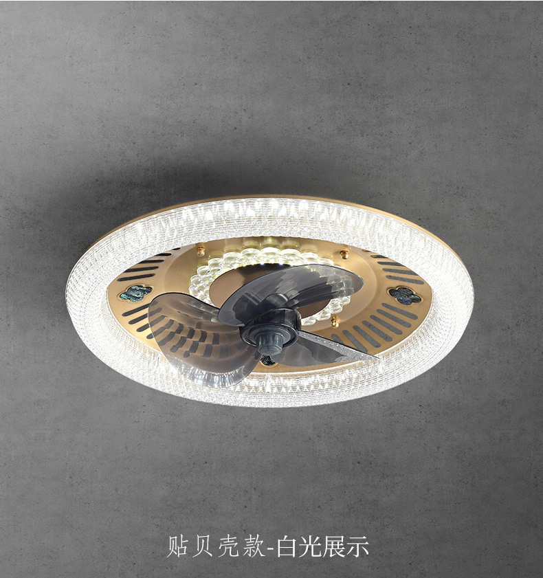 贴贝壳款 (2).jpg