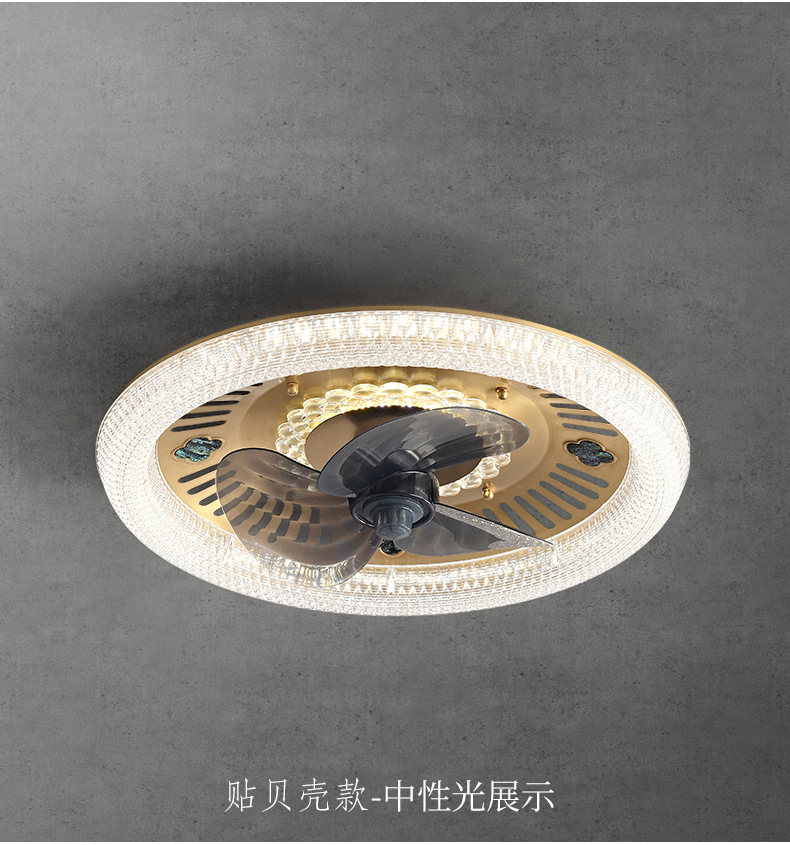 贴贝壳款 (4).jpg