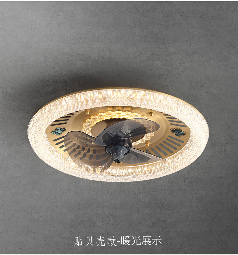 贴贝壳款 (3).jpg