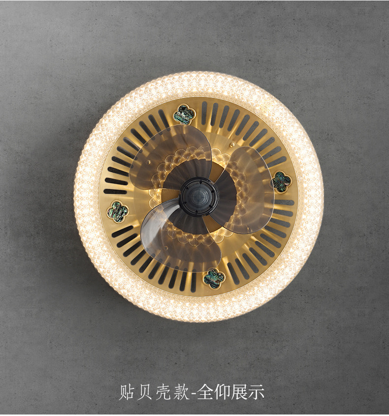 贴贝壳款 (5).jpg